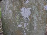 image of grave number 174430